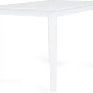 Ruokapöytä Annikki 74x75x120 cm valkoinen
